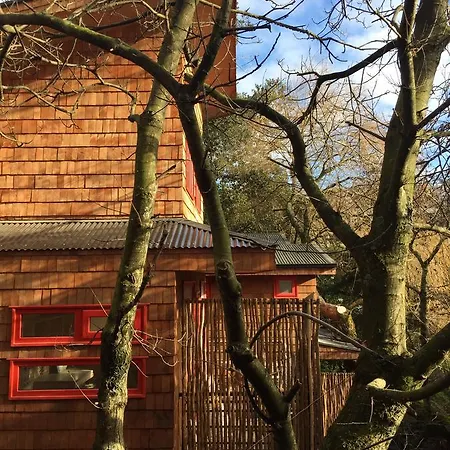 Almabosque Cabanas Puerto Varas Exterior photo