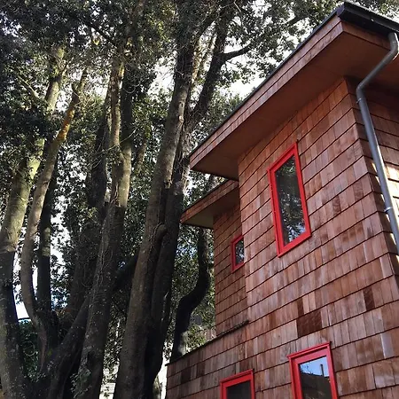 Almabosque Cabanas Puerto Varas Exterior photo