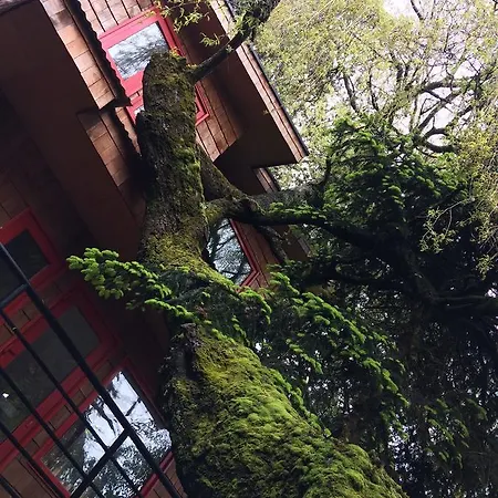 Almabosque Cabanas Puerto Varas Exterior photo