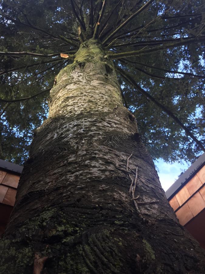 Lodge Almabosque