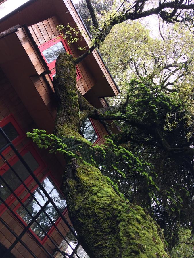 Lodge Almabosque *