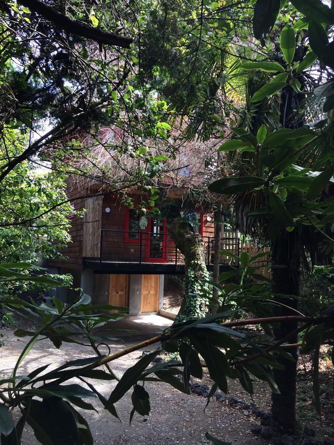 Lodge Almabosque