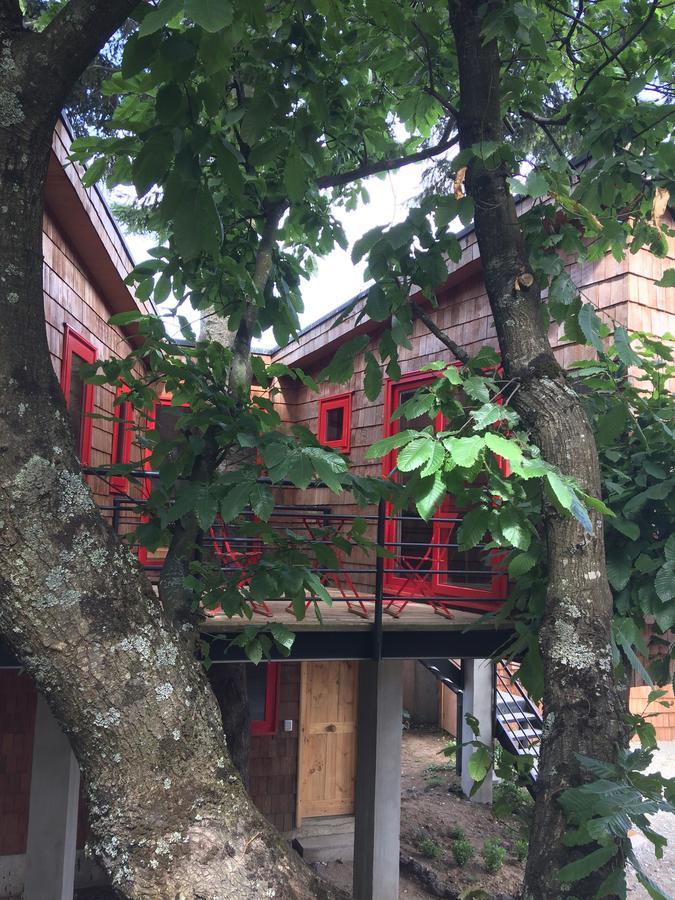 Almabosque Lodge Puerto Varas