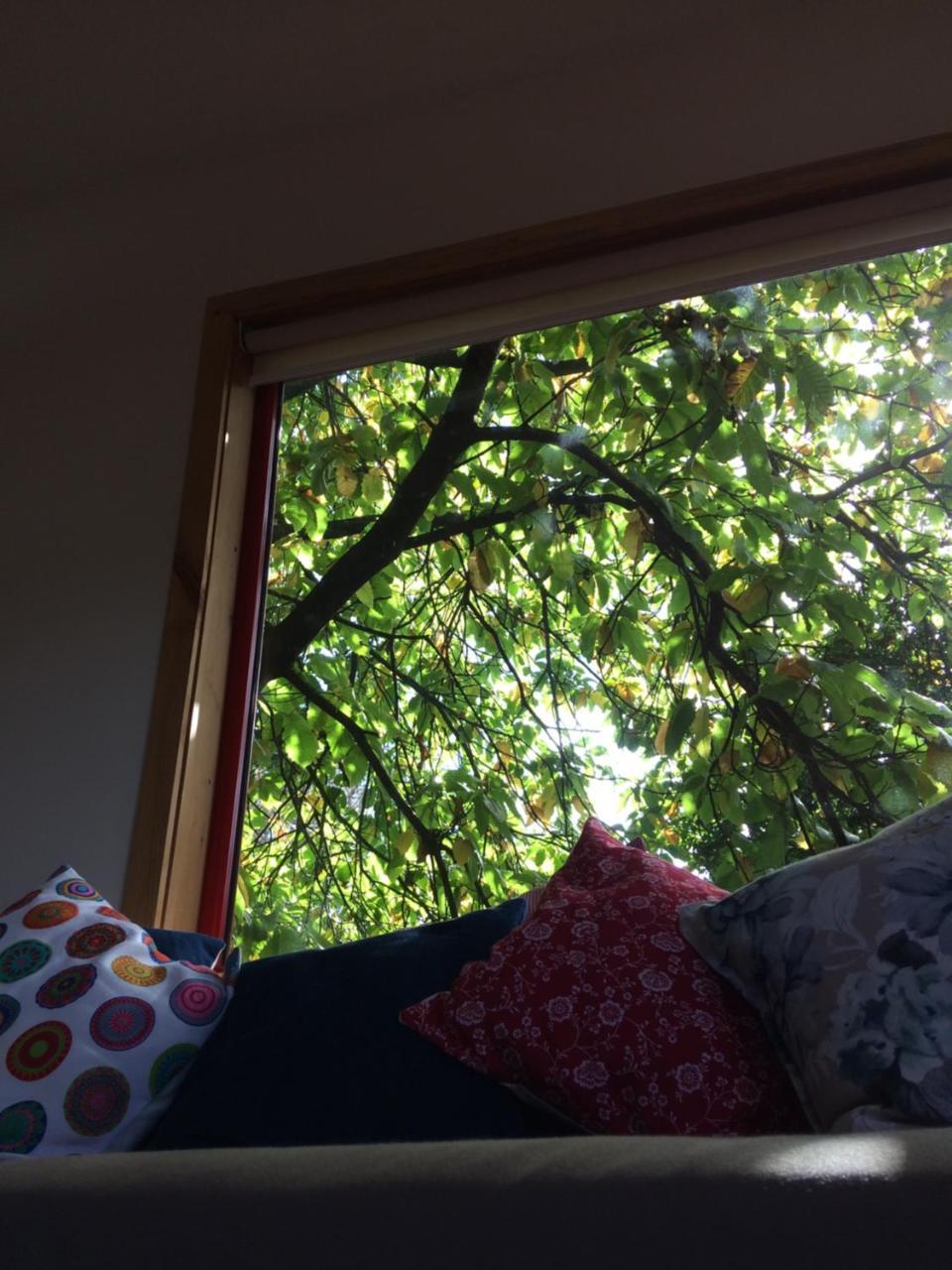 Lodge Almabosque